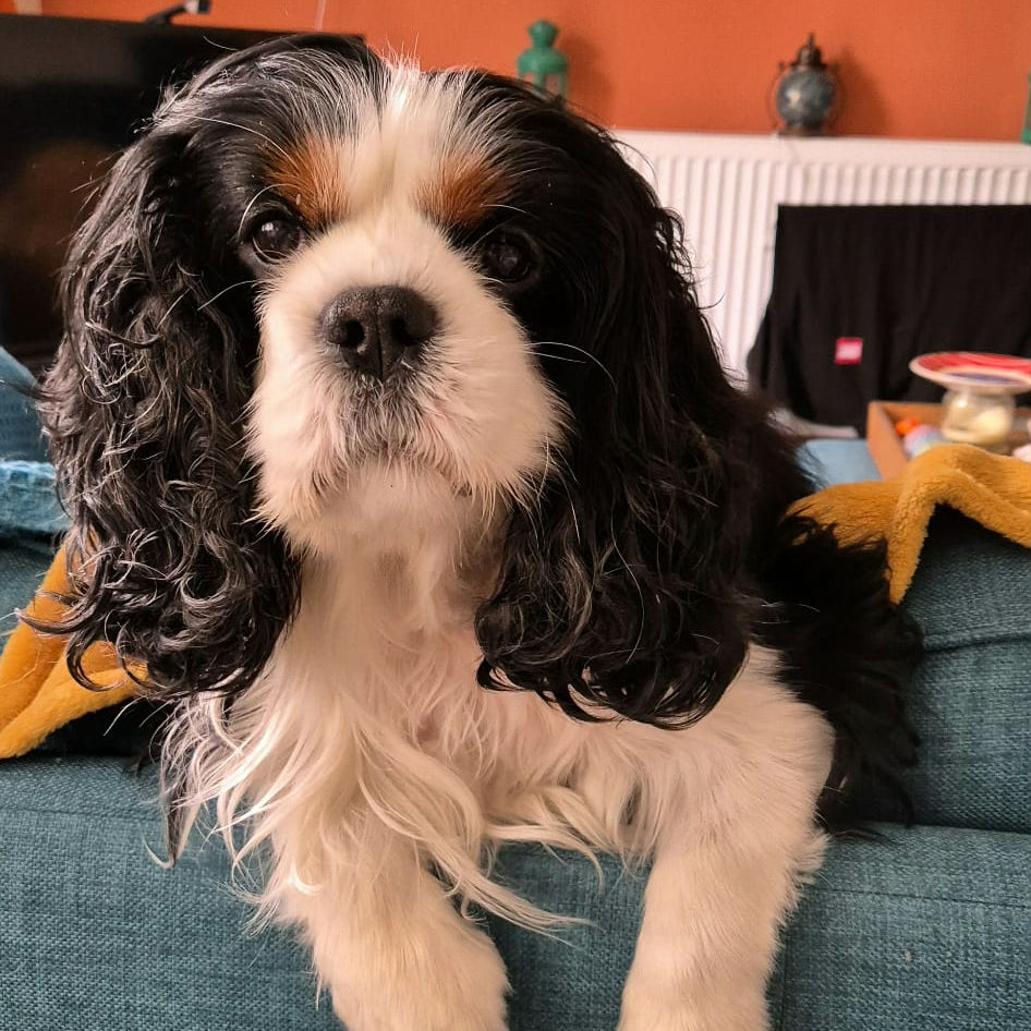 2024_2025 - Murphy - 8.jpg